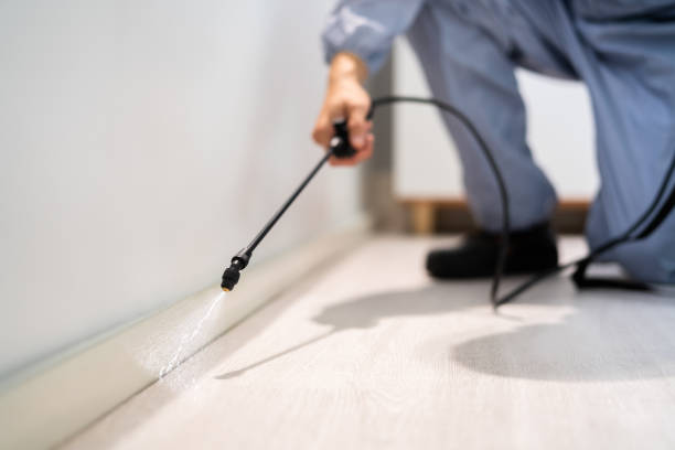 Licensed Termite Control service in Victoria, KS - Nex Pest Control