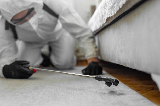 Professional Termite Control technician working in Victoria, KS