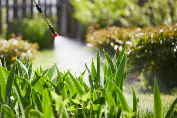 24/7 Emergency Termite Control experts in Victoria, KS