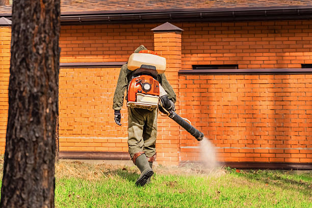 Top rated local Termite Control specialists in Victoria, KS